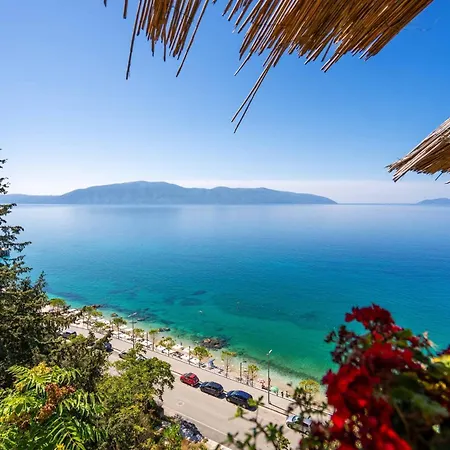 Ellin - Happy * Vlorë